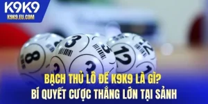 Bạch Thủ Lô Đề K9K9