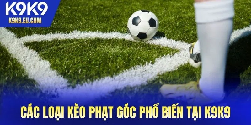 Các loại kèo phạt góc phổ biến tại K9K9