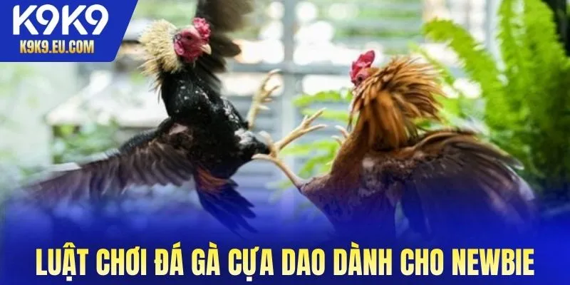 đá gà cựa dao