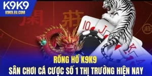 Rồng Hổ K9K9