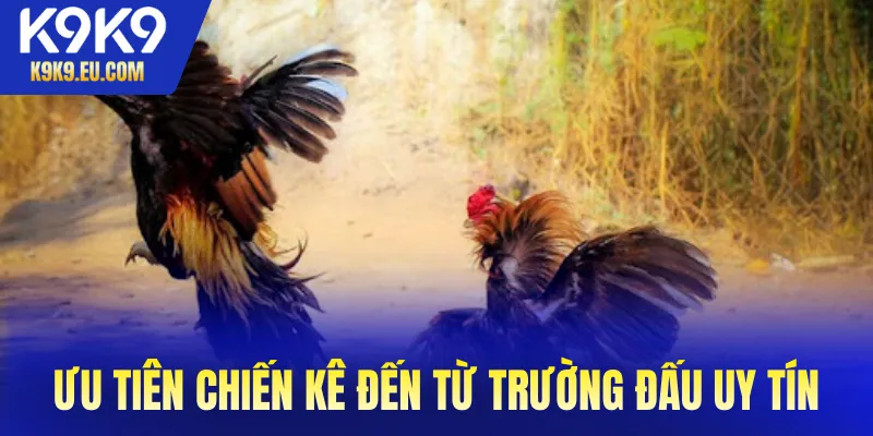 Đá Gà K9K9 Đá Gà K9K9